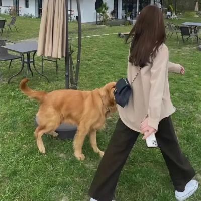 少女动春心